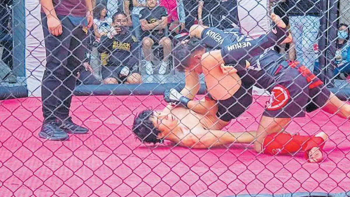 artes marciales mixtas 1